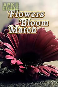 flowers bloom match