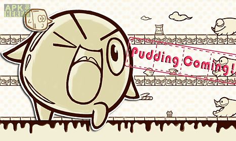 pudding dash