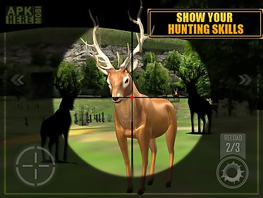 deer hunting - sniper shooting