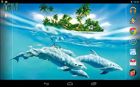 magic touch: dolphins