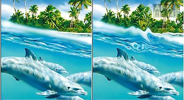 Magic touch: dolphins