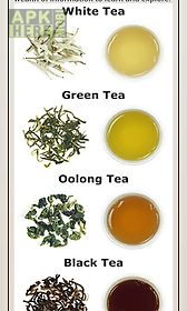 tea guide