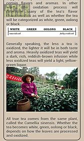 tea guide