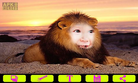 lion photo frames