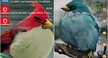 Go sms pro angry birdsr theme