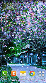 sakura by orchid live wallpaper