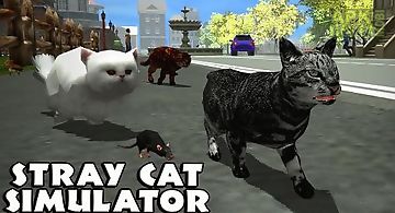 Stray cat simulator