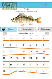 fish planet calendar