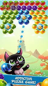 fruity cat- bubble pop