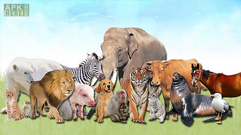animals for kids