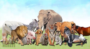 Animals for kids