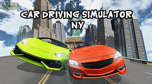 car driving simulator: ny