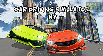Car driving simulator: ny
