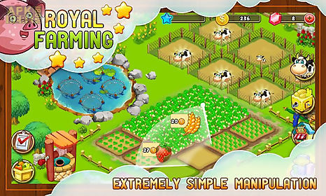 royal farming