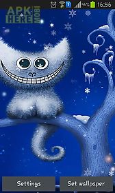 funny christmas kitten and his smile live wallpaper