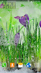 spring flowers live wallpaper