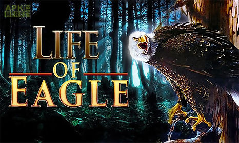 life of eagle - wild simulator