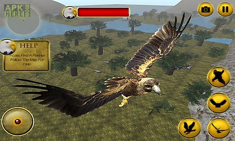 life of eagle - wild simulator