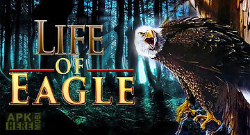 Life of eagle - wild simulator