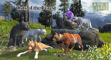 Cats of the forest