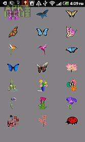 flowers butterfly doodle text!
