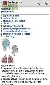 pocket atlas of anatomy tr