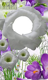 3d flower photo frames