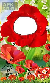 3d flower photo frames