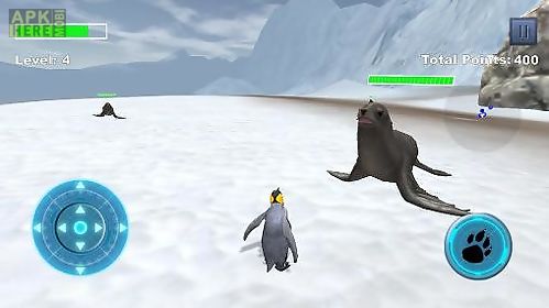 arctic penguin