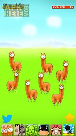 alpaca evolution begins