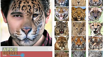 Animal faces - face morphing