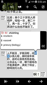 pleco chinese dictionary