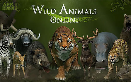 wild animals online