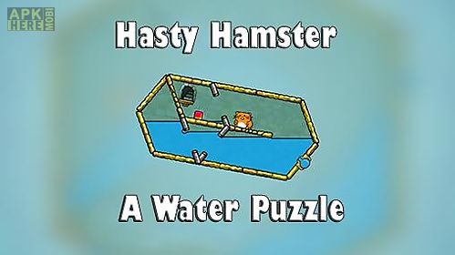 hasty hamster and the sunken pyramid: a water puzzle
