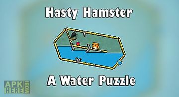 Hasty hamster and the sunken pyr..