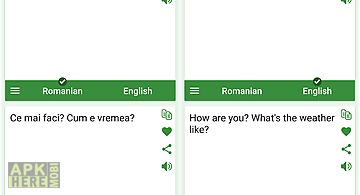Romanian - english translator