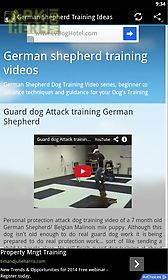 german shepherd training tips