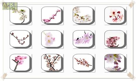 cherry blossom flowers onet classic game