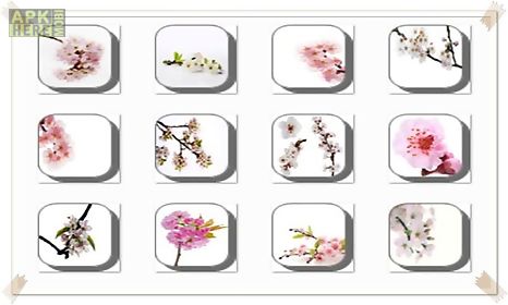 cherry blossom flowers onet classic game