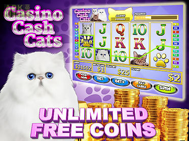 casino cash cats kitty slots