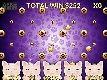 casino cash cats kitty slots