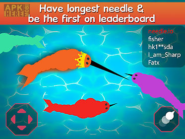 needle narwhale.io - narwhale