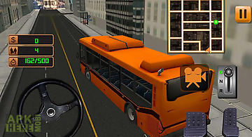 City bus driver