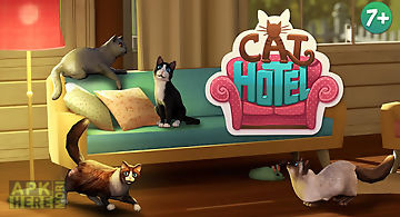 Cathotel - hotel for cute cats