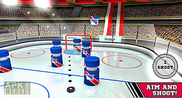 Pin hockey - ice arena