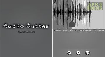 Audio cutter