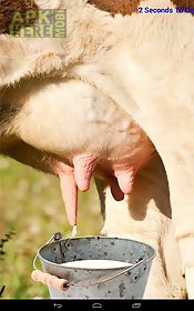 milk cow game