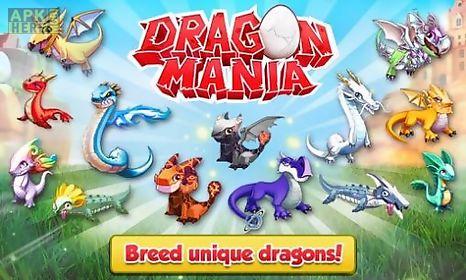 dragon mania