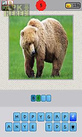 animals quiz