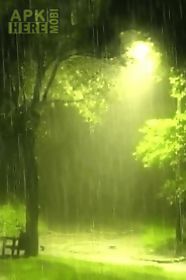 rain in green scenary live wal